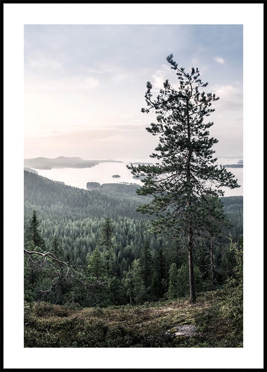 Nordic Forest and Lake View Poster