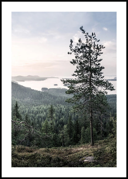 Nordic Forest and Lake View Poster