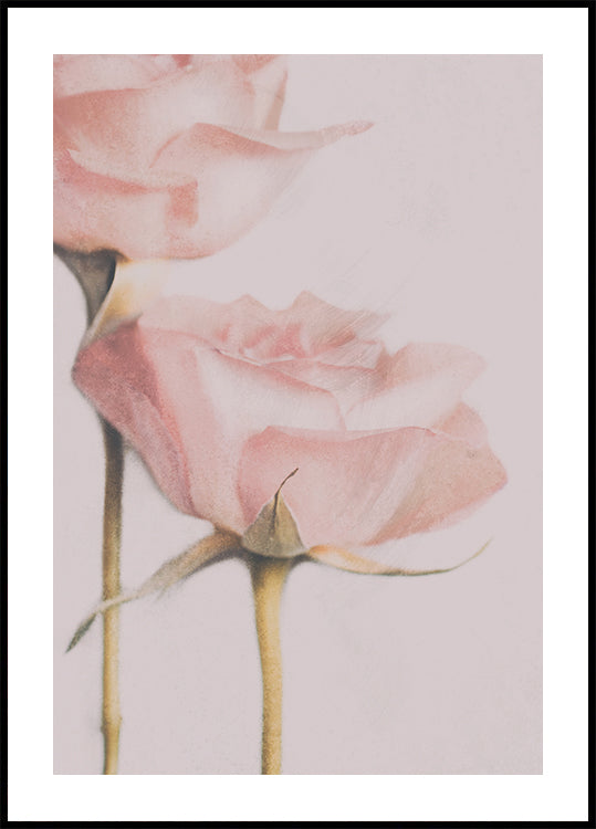 Two Roses Poster