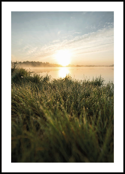 Foggy Summer Morning Poster