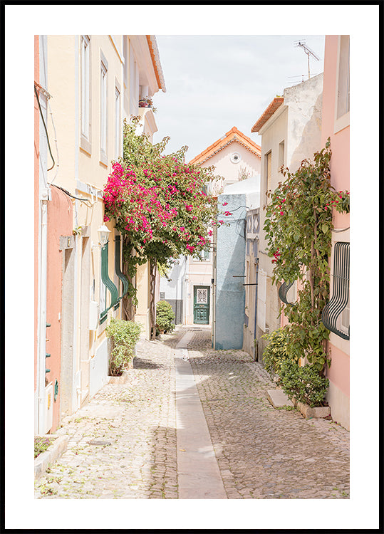 Portugese Street Poster