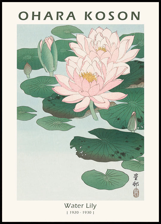 Water Lily, Japanese Woodblock By Ohara Koson Poster