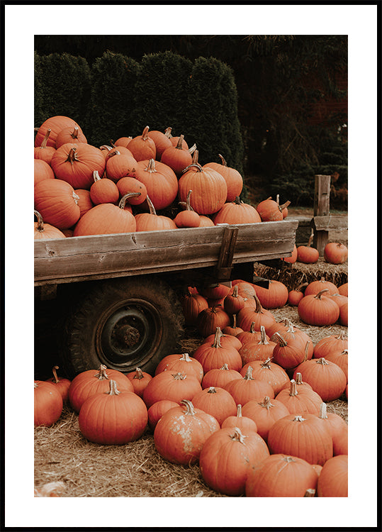 Pumpkin Patch Truck Poster