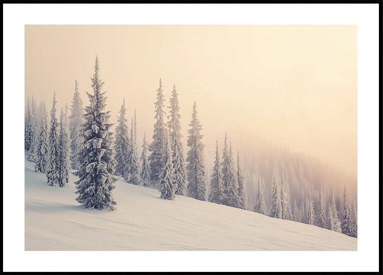 Winter Landscape Snowy Pines Poster