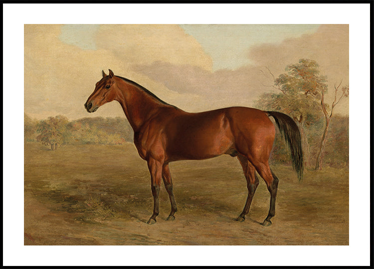 Edward Troye-Kentucky Woodpecker Poster