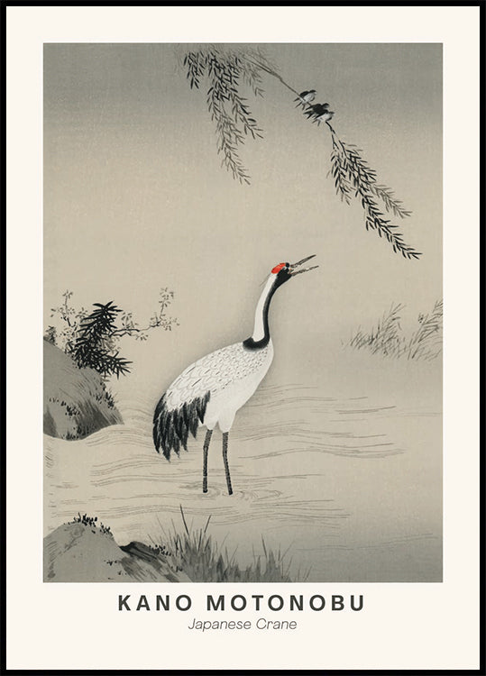 Japanese Crane Illustration Kano Motonobu Poster