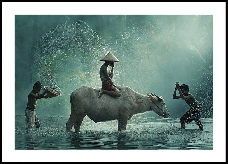 Water Buffalo