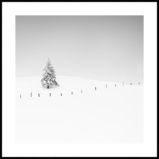 Monochrome Winter Poster