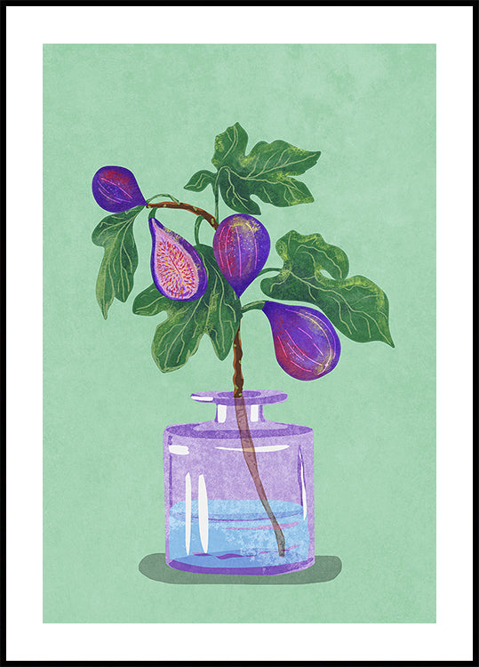 Figs Branch In Vase Poster