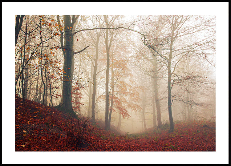 Waiting for the deer.