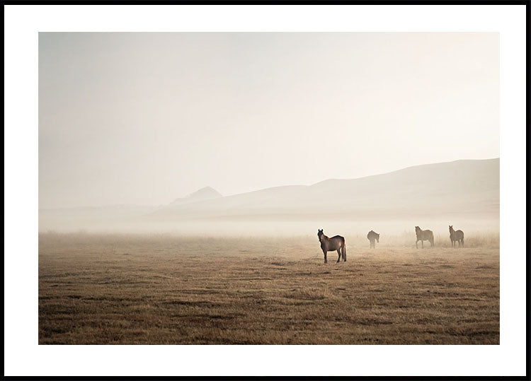 Horses in the Mist Poster