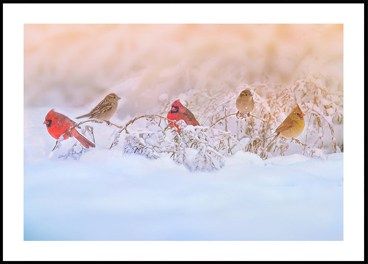 Snowy Morning  Party Poster