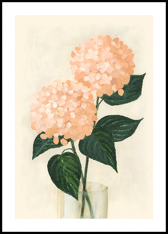 Coral hydrangeas in a vase Poster
