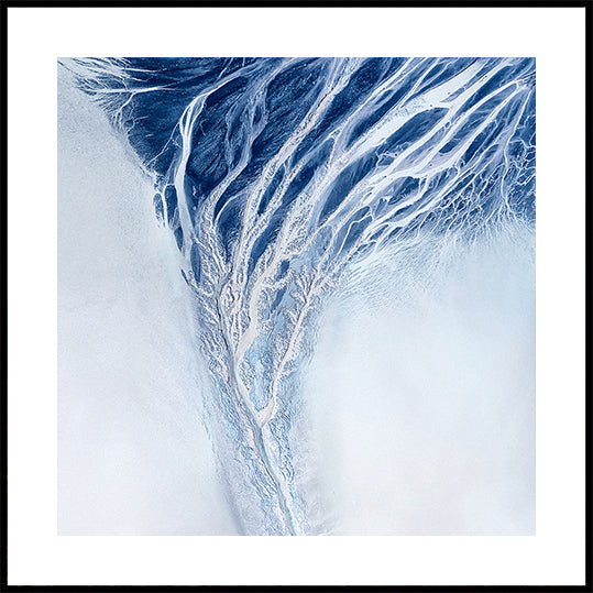 Nature Abstract Poster