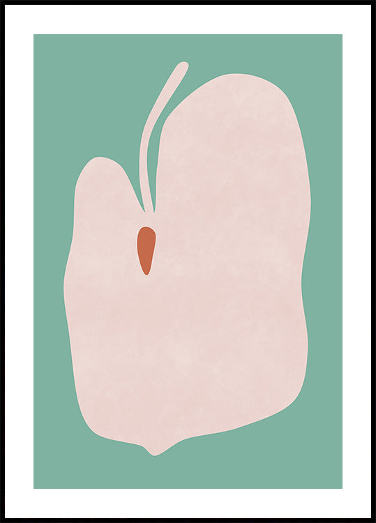 Pink Anthurium Flower Poster
