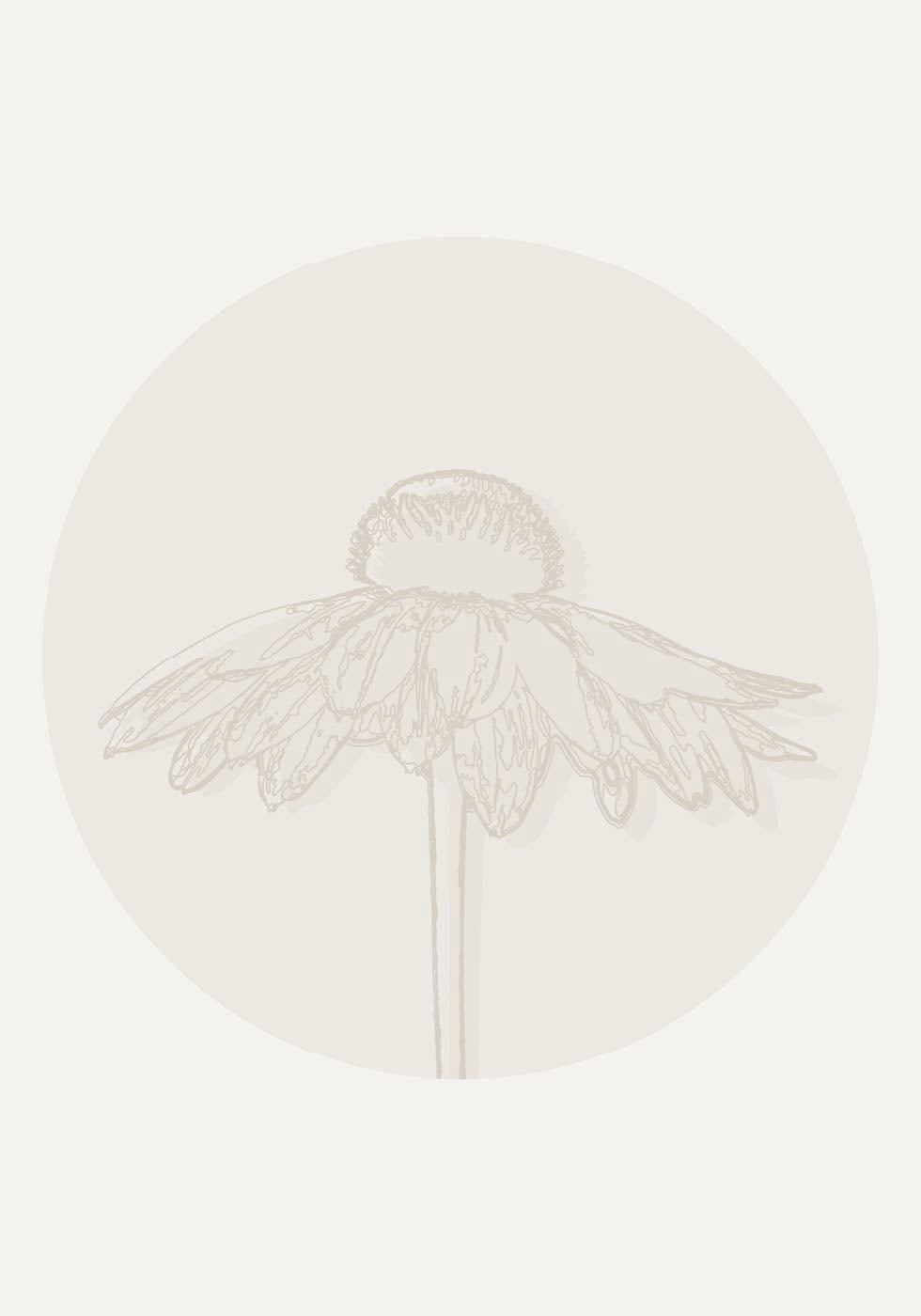Gaillardia Bloom, Botanical Line Art Poster