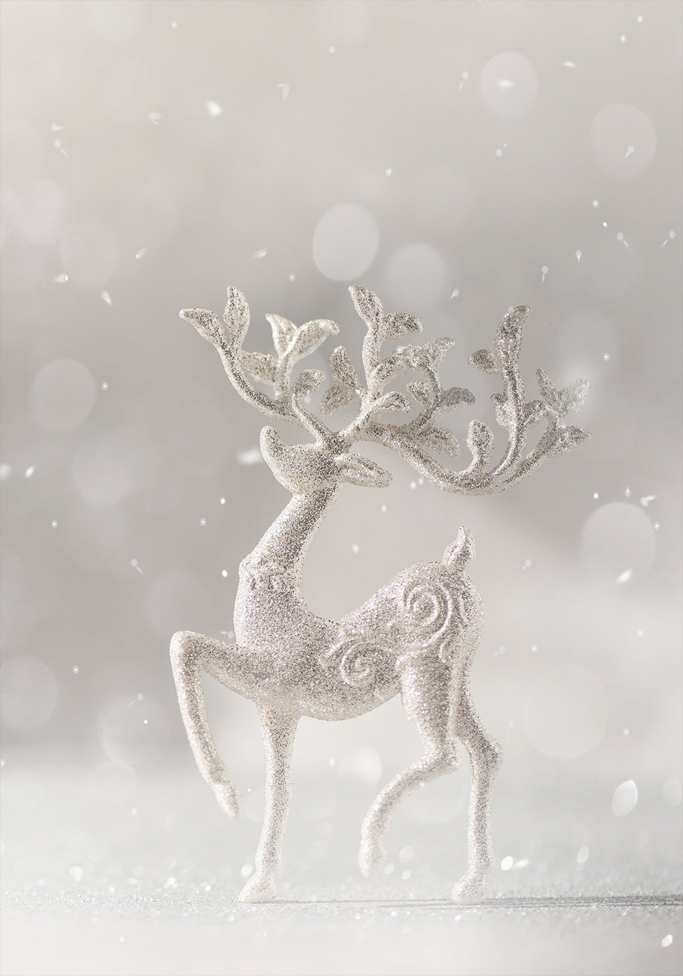 Glitter Christmas Deer Poster