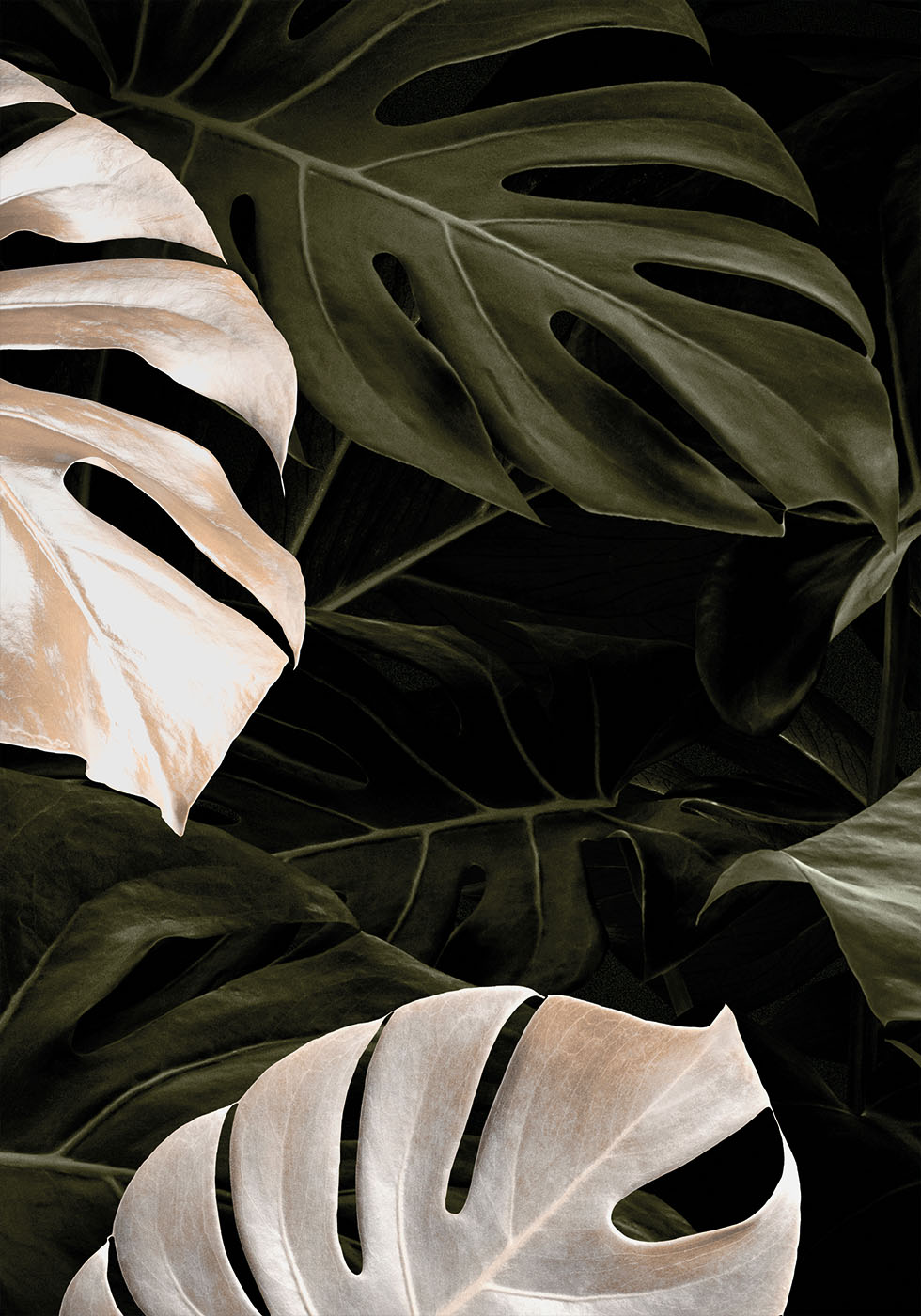 Golden Monstera Leaves Poster