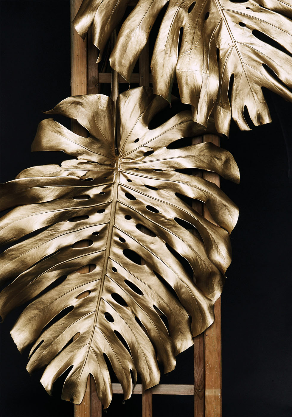 Golden Monstera №2 Poster
