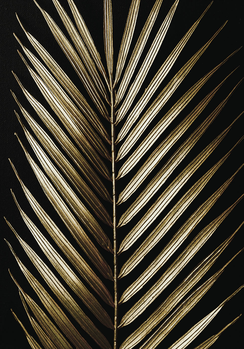 Golden Palm Leaf Poster