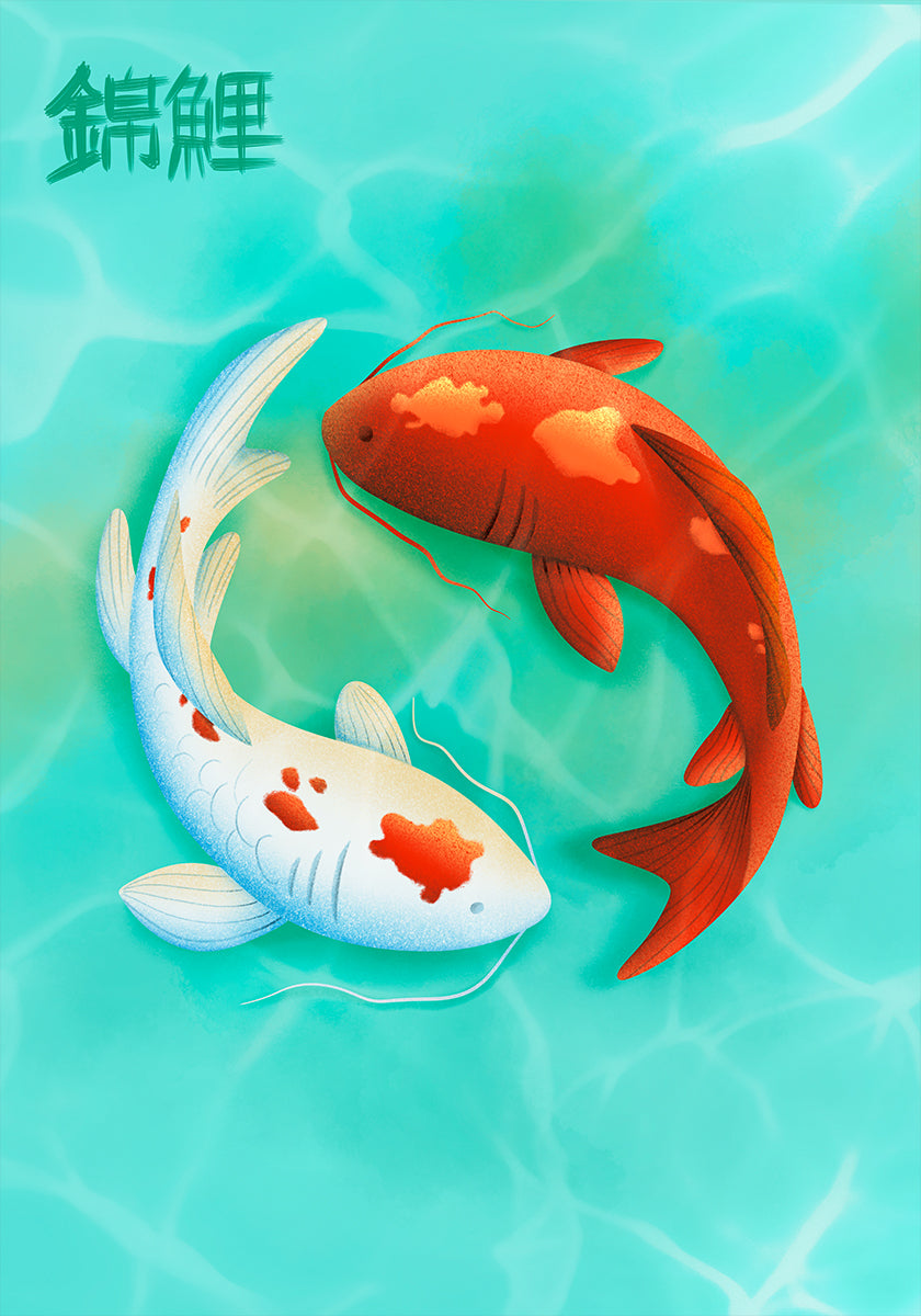 Koi Love