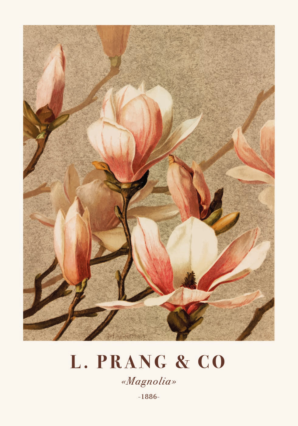 L. Prang & Co., Magnolia Poster