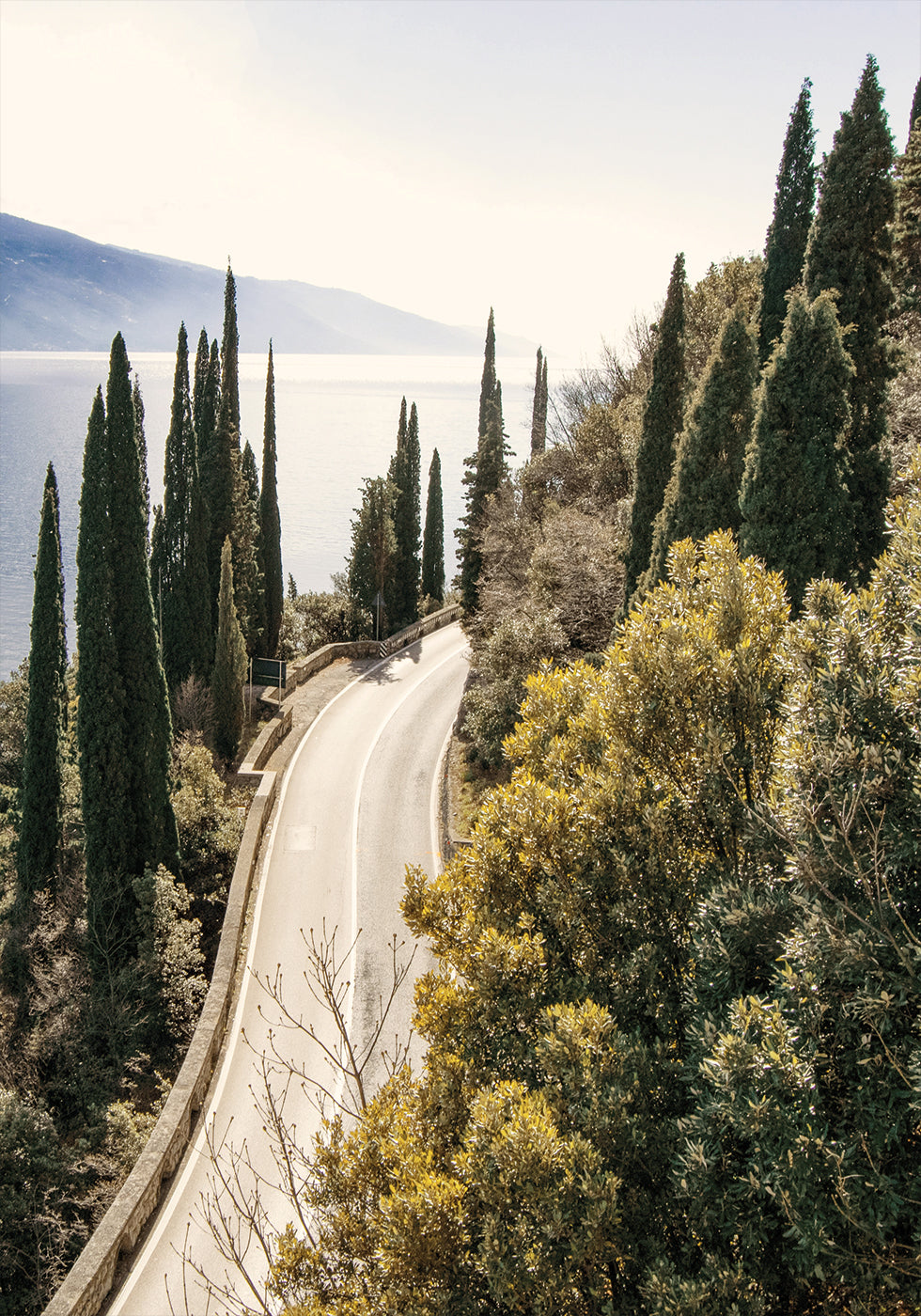 Road Along Lake Garda Poster