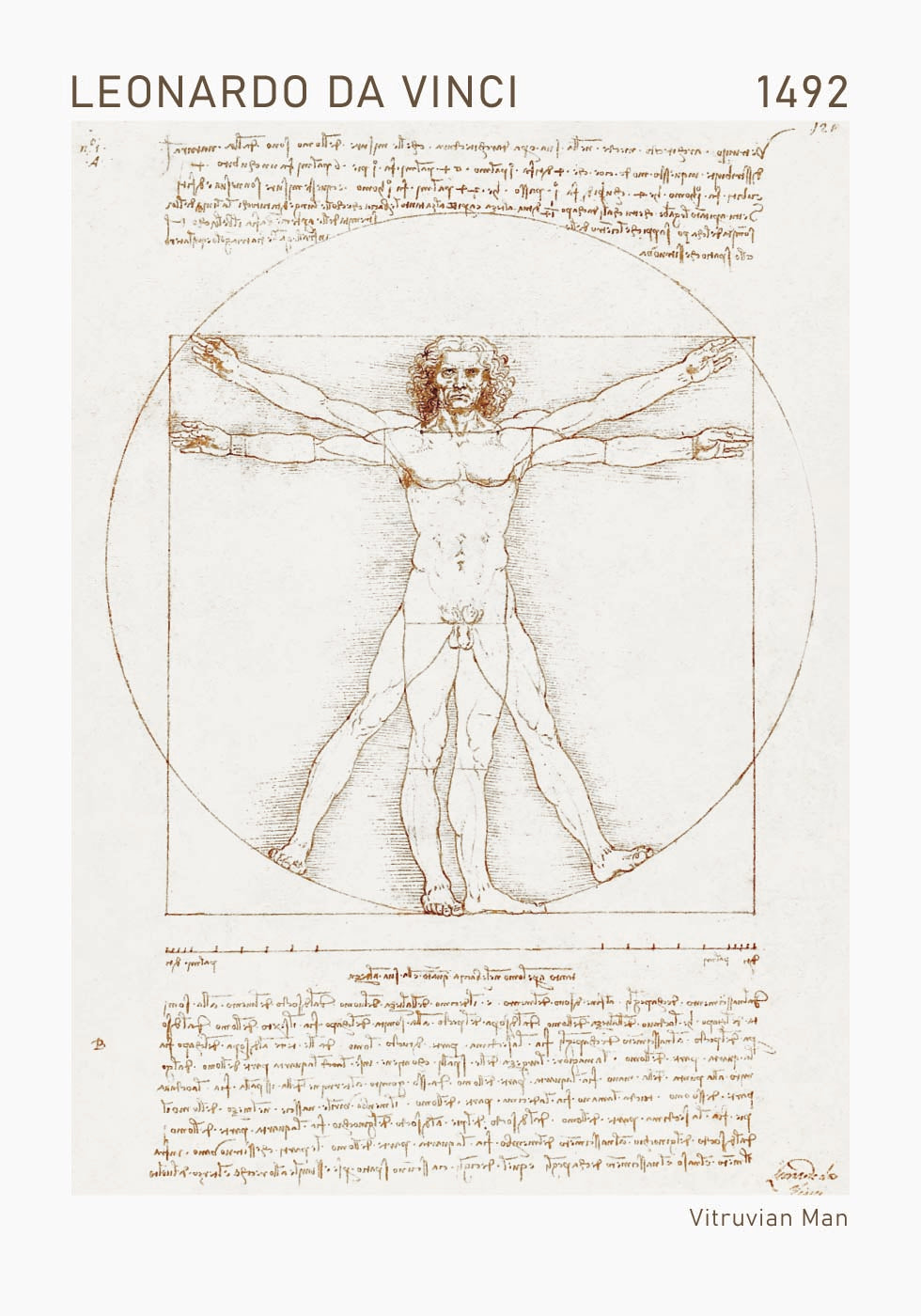 Leonardo da Vinci, Vitruvian Man Poster