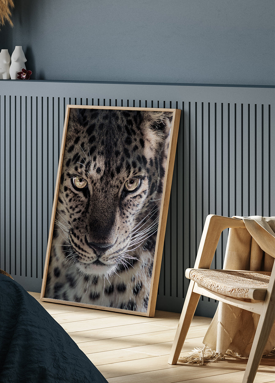 Leopard Poster