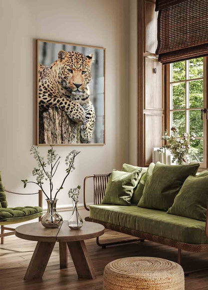 Majestic Leopard Poster