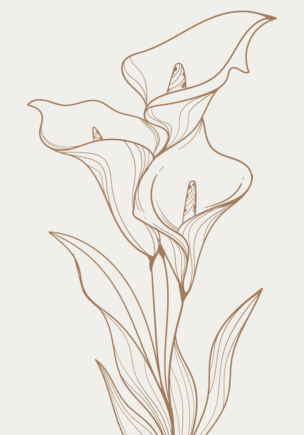 Elegant Line Art Floral Poster