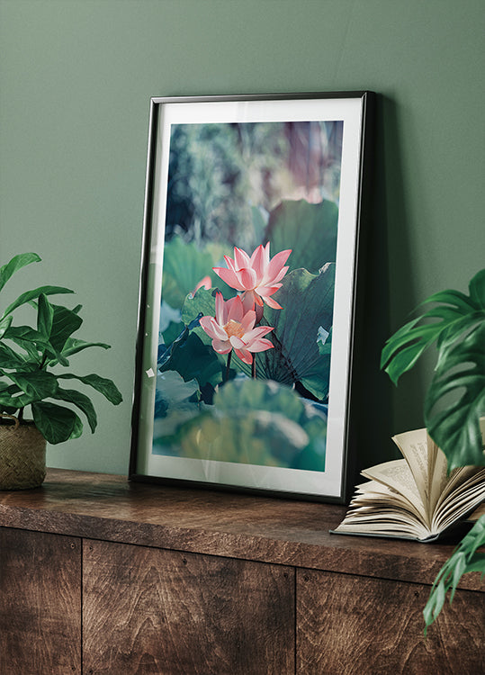 Blooming Lotus Flower Poster