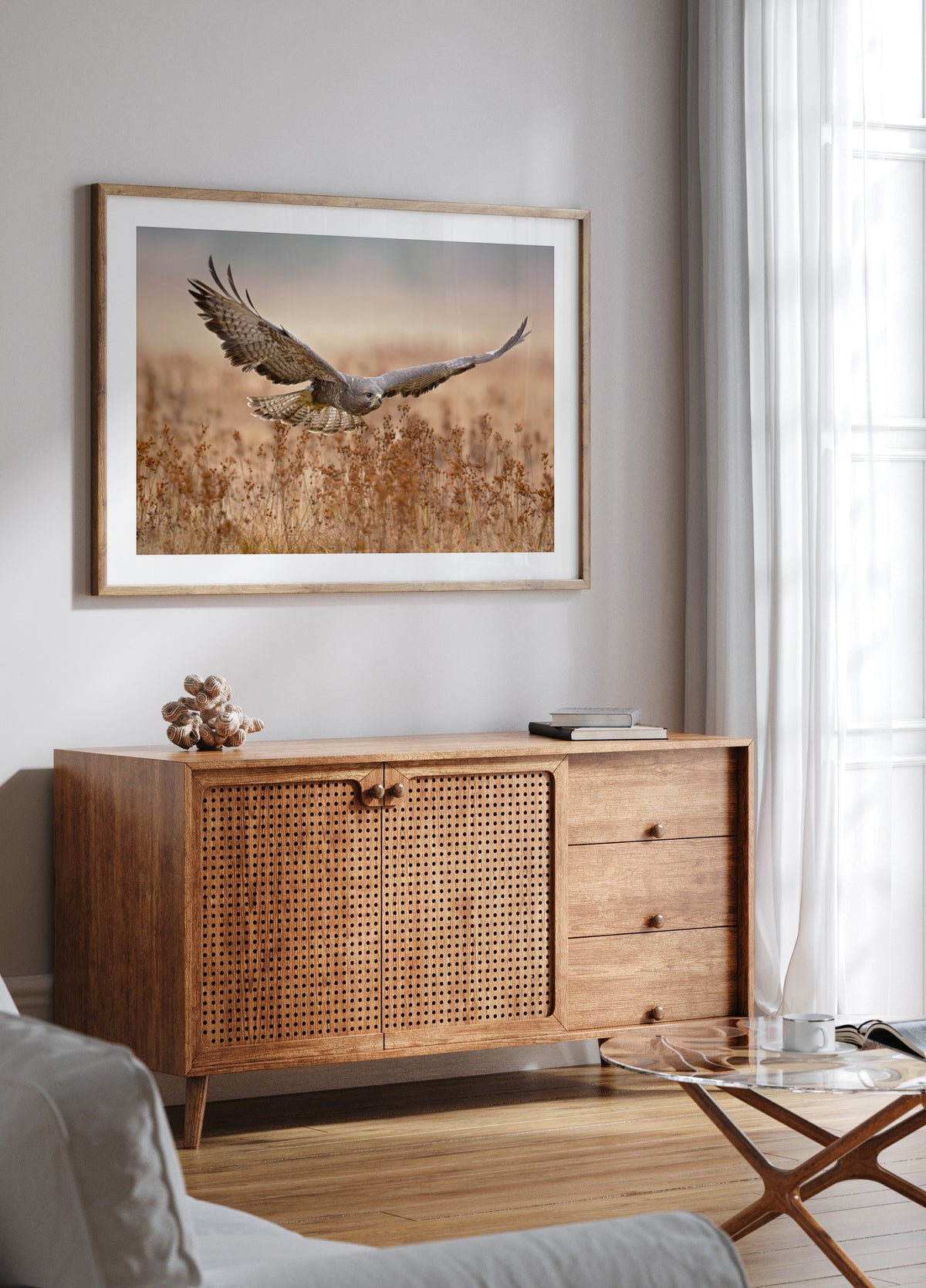 Majestic Hawk In Flight