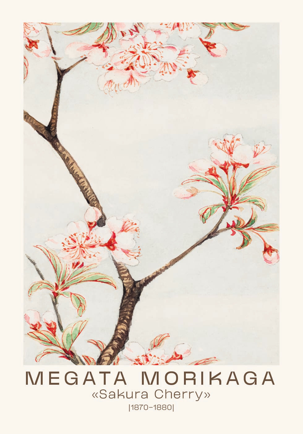 Sakura Cherry Japanese Blossom, Megata Morikaga 1870–1880 Poster