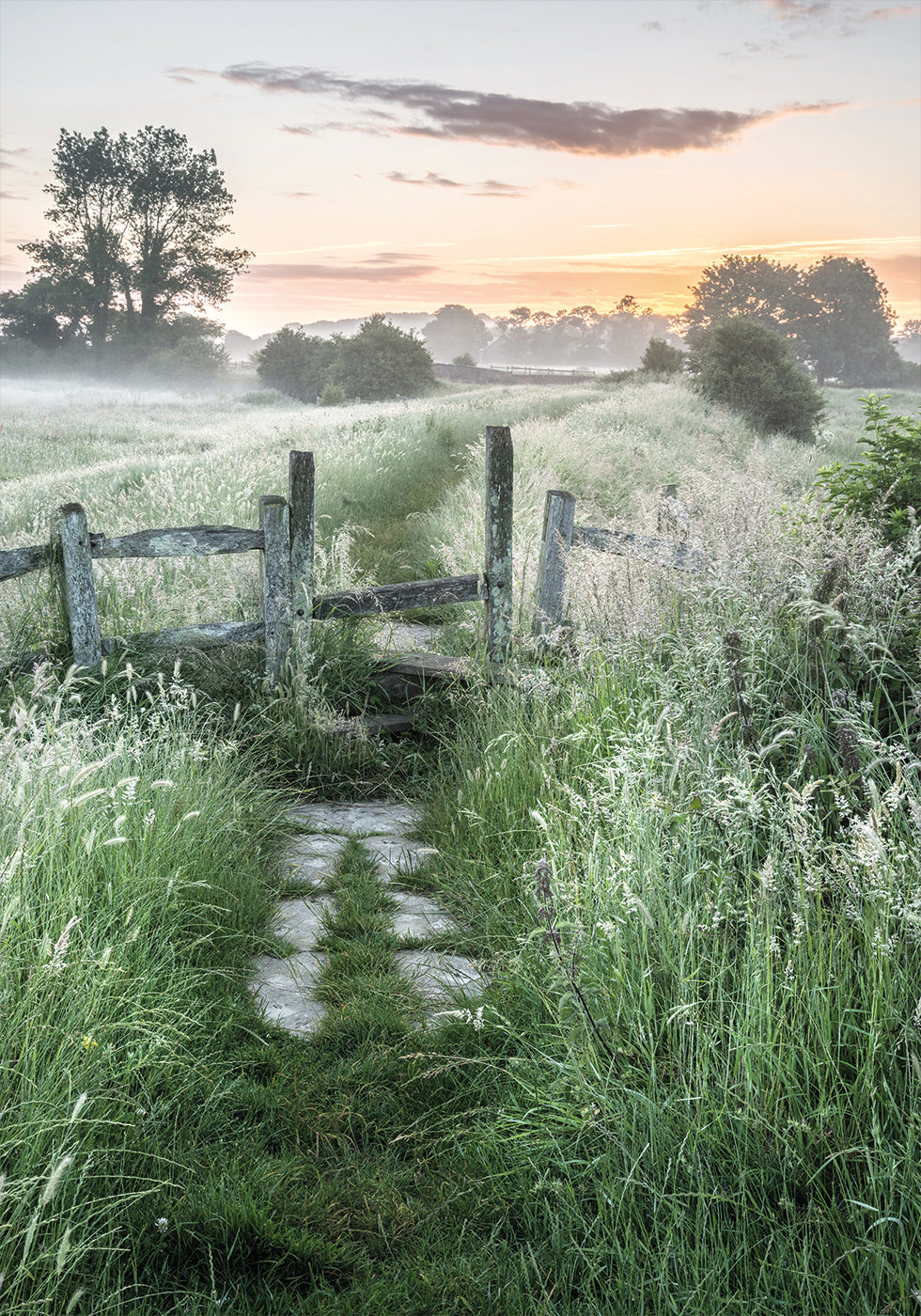 Misty Summer Dawn Poster