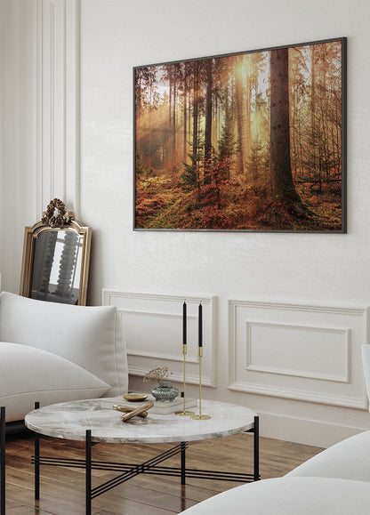 Serene Forest Illumination Poster