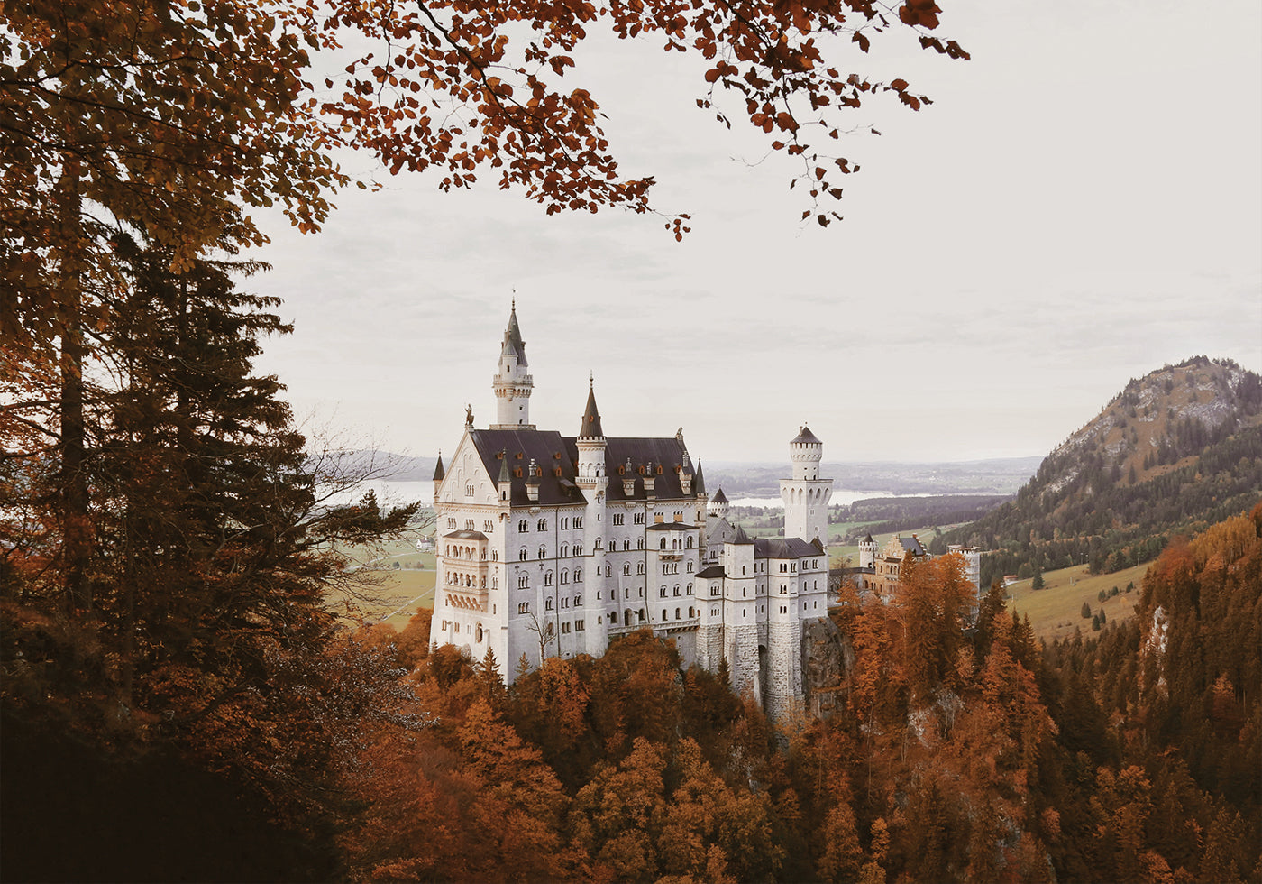 Neuschwanstein Castle in Autumn Poster