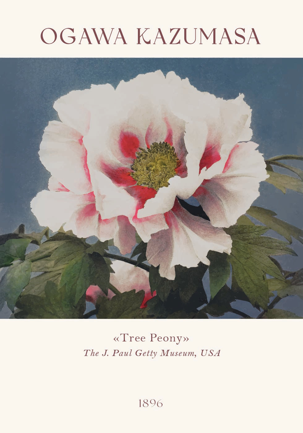 Tree Peony, Ogawa Kazumasa Foral Poster