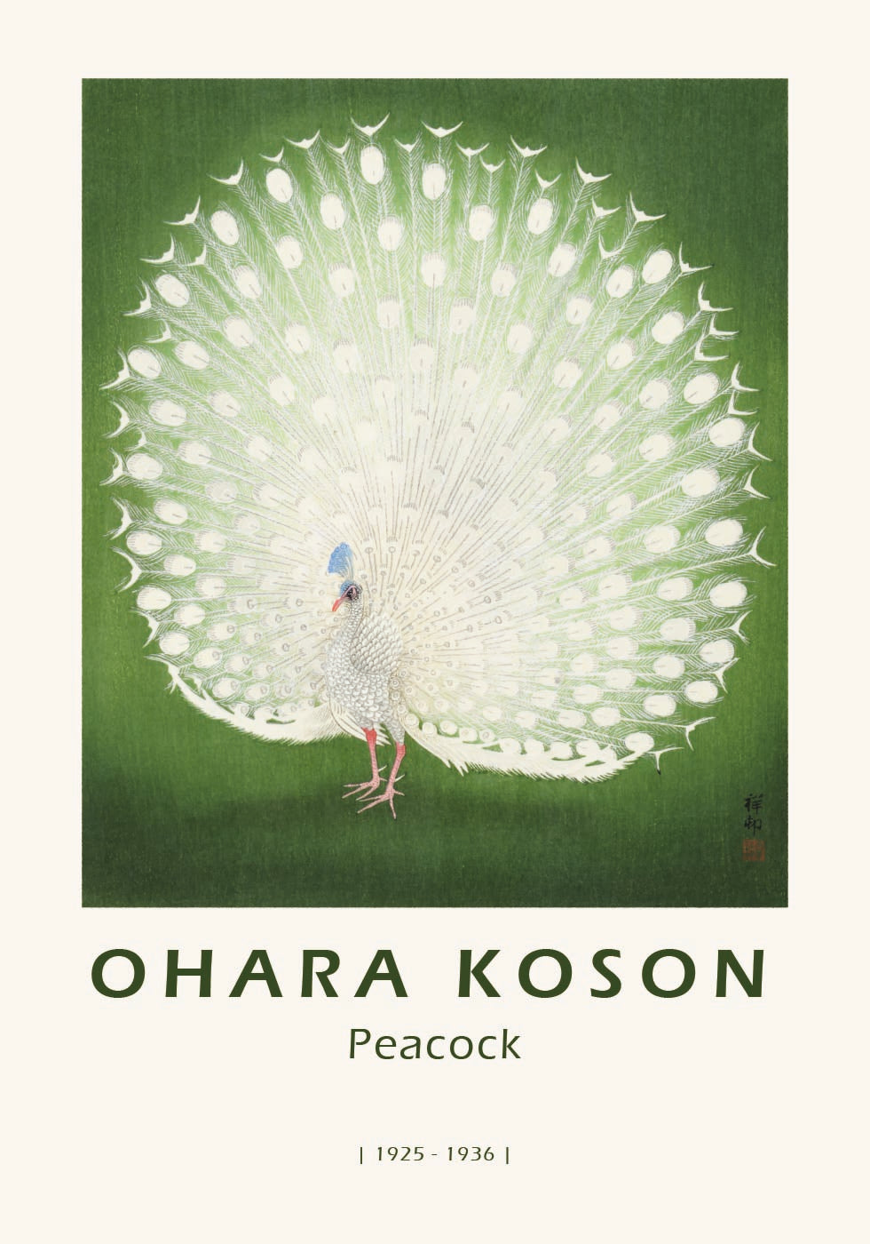 Peacock, Japanese White Peafowl Poster