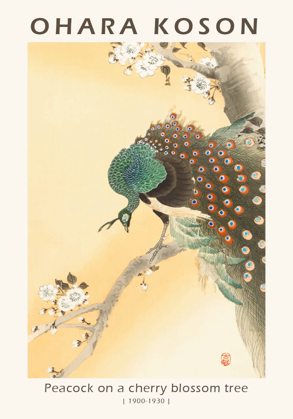 Peacock on a Cherry Blossom Tree, Japanese Woodblock By Ohara Koson Poster