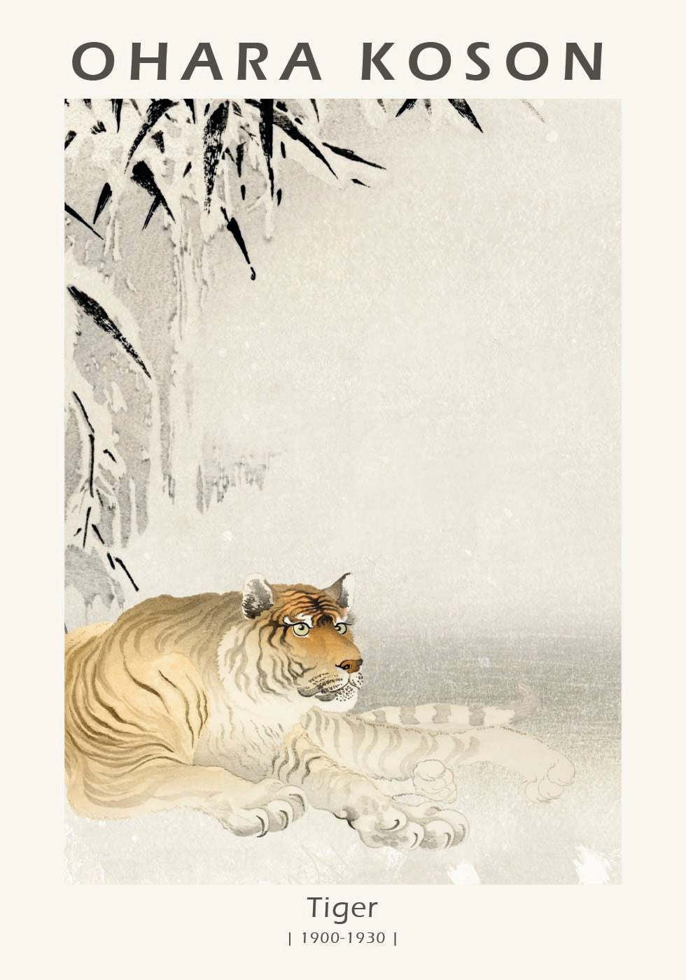 Tiger, Japanese Woodblock By Ohara Koson Poster