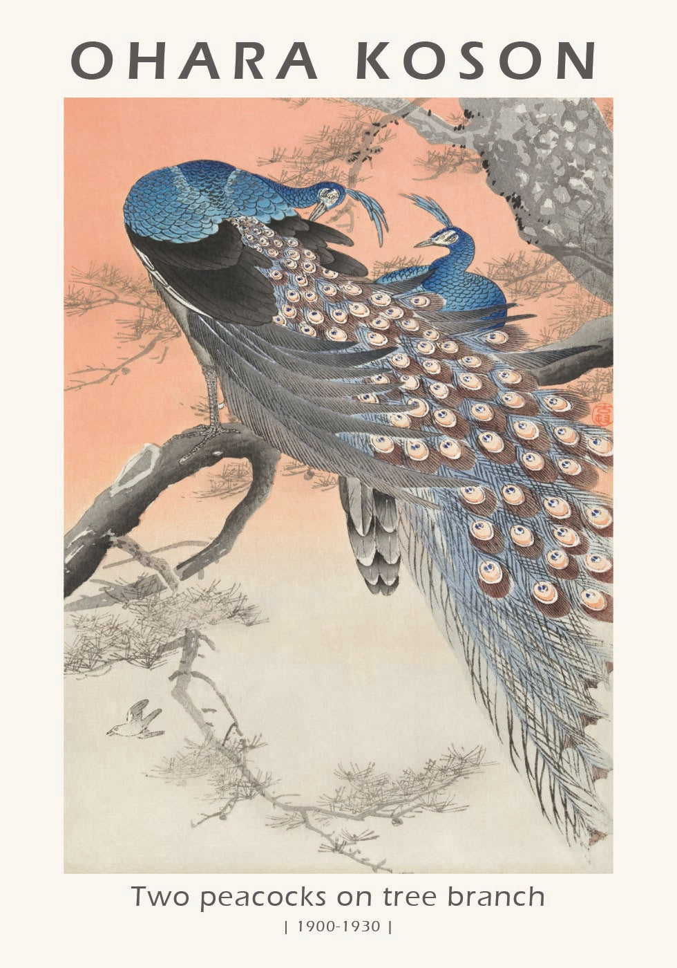 Two Peacocks, Japanese Woodblock By Ohara Koson Poster
