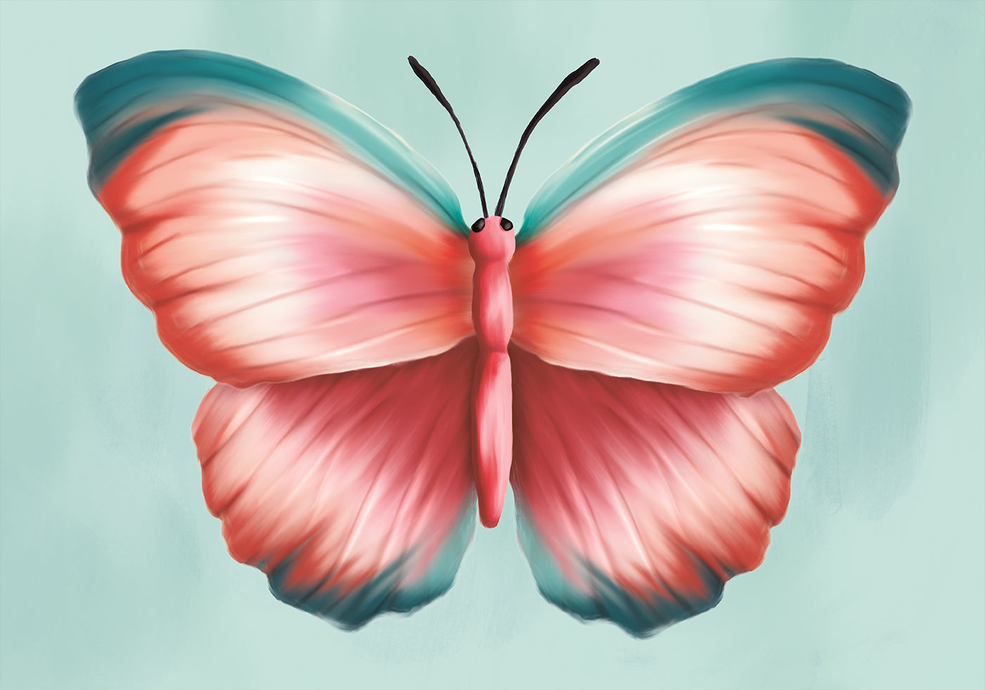Pastel Butterfly Poster