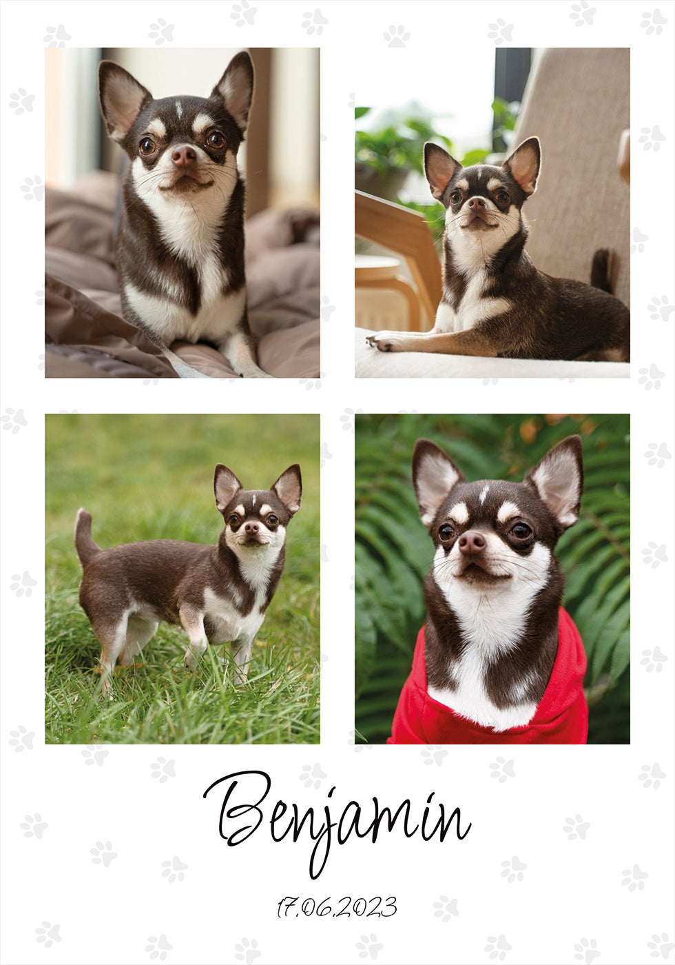 Pet Photo Collage Personal Poster