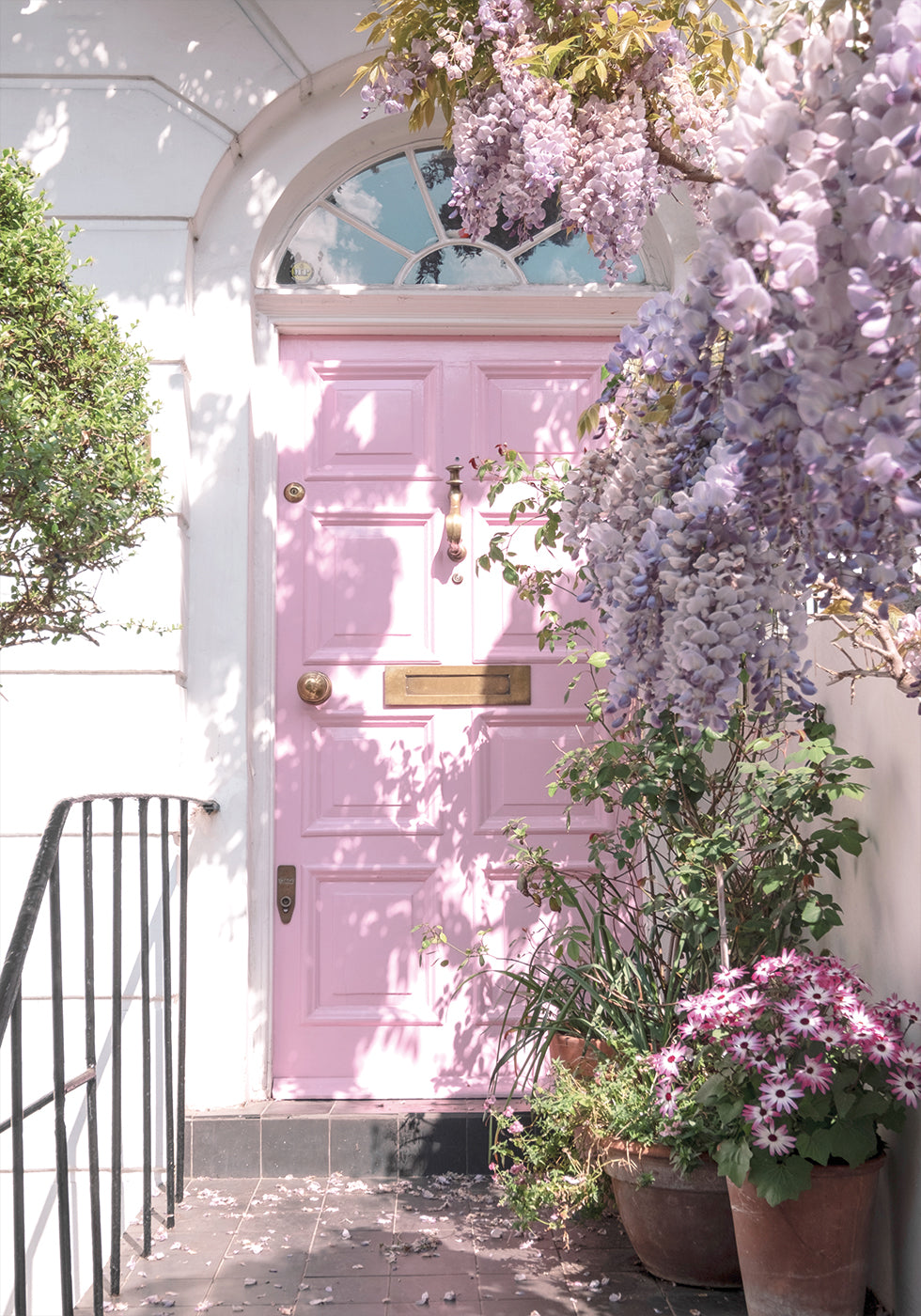 Pink Door with Flowers Poster