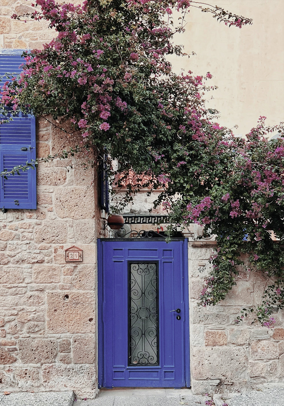 Vibrant Doorway with Bougainvillea Poster