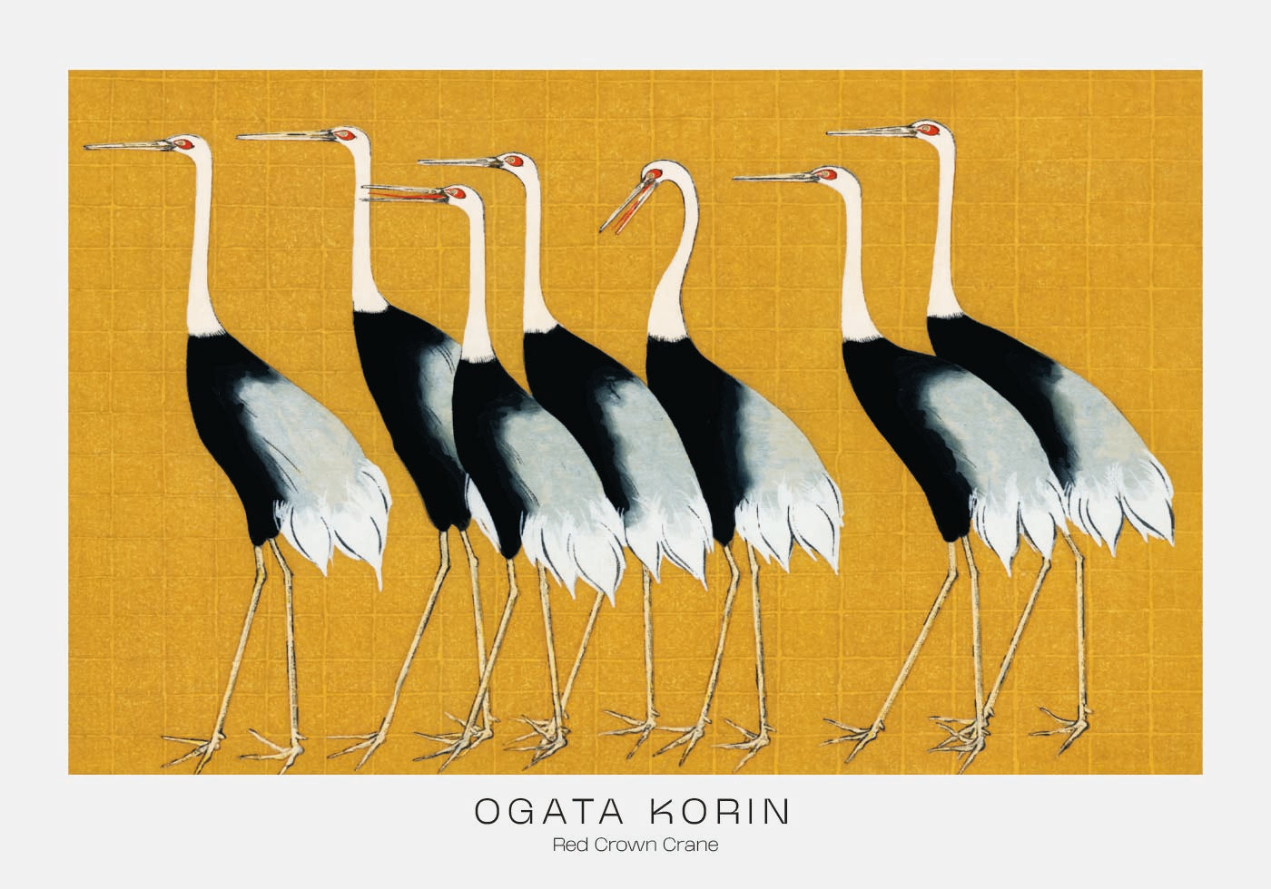 Elegant Red Crown Cranes Poster