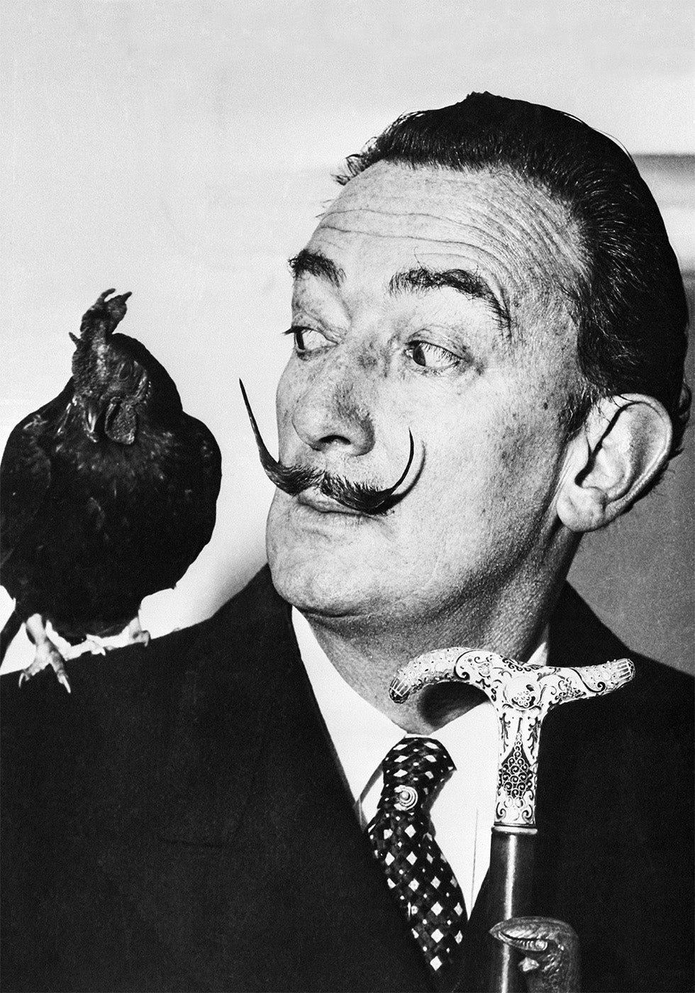 Salvador Dali with Rooster Poster