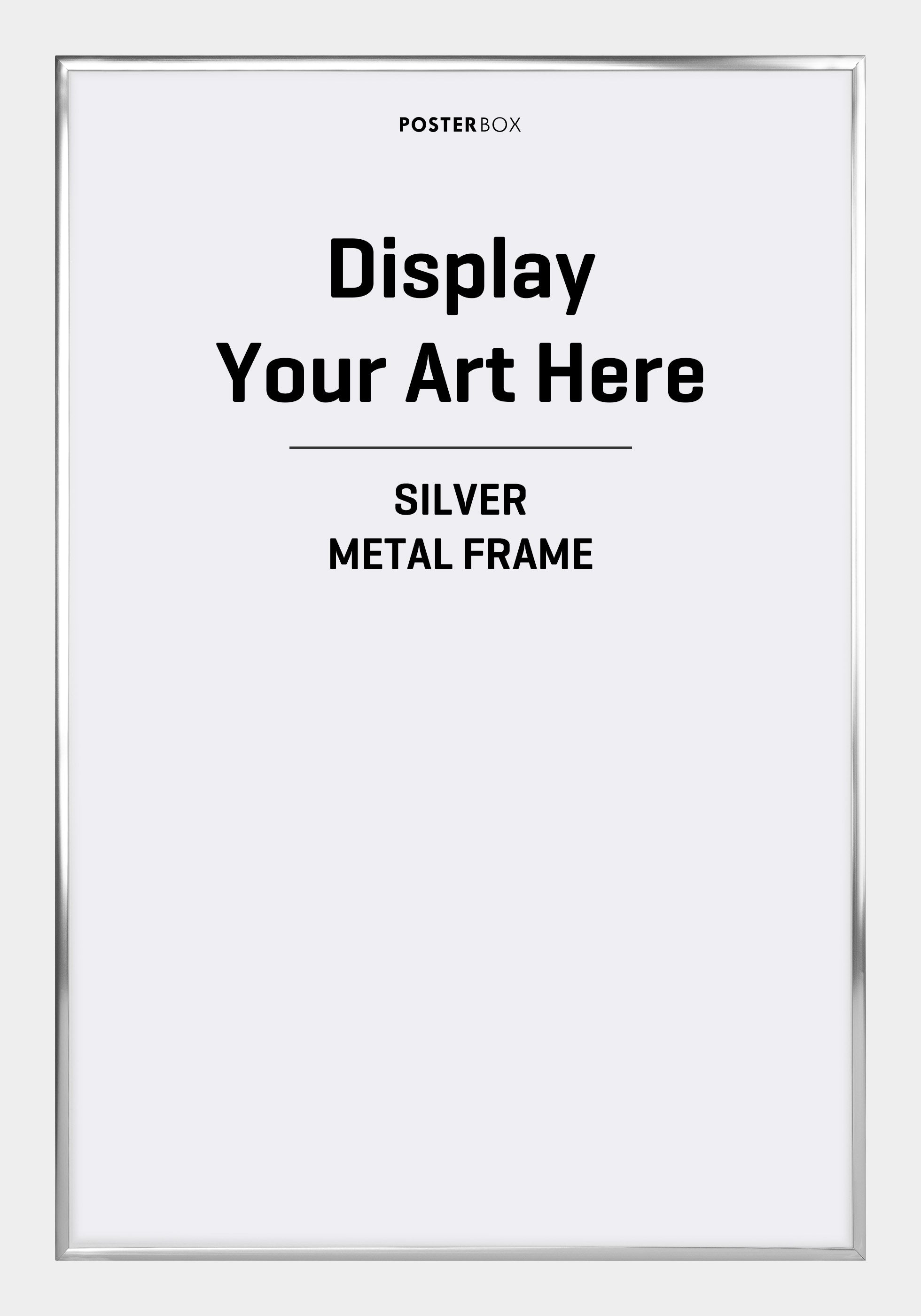 Silver Metal Frame