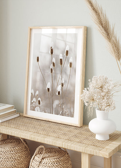 Snowy Dried Flowers Poster